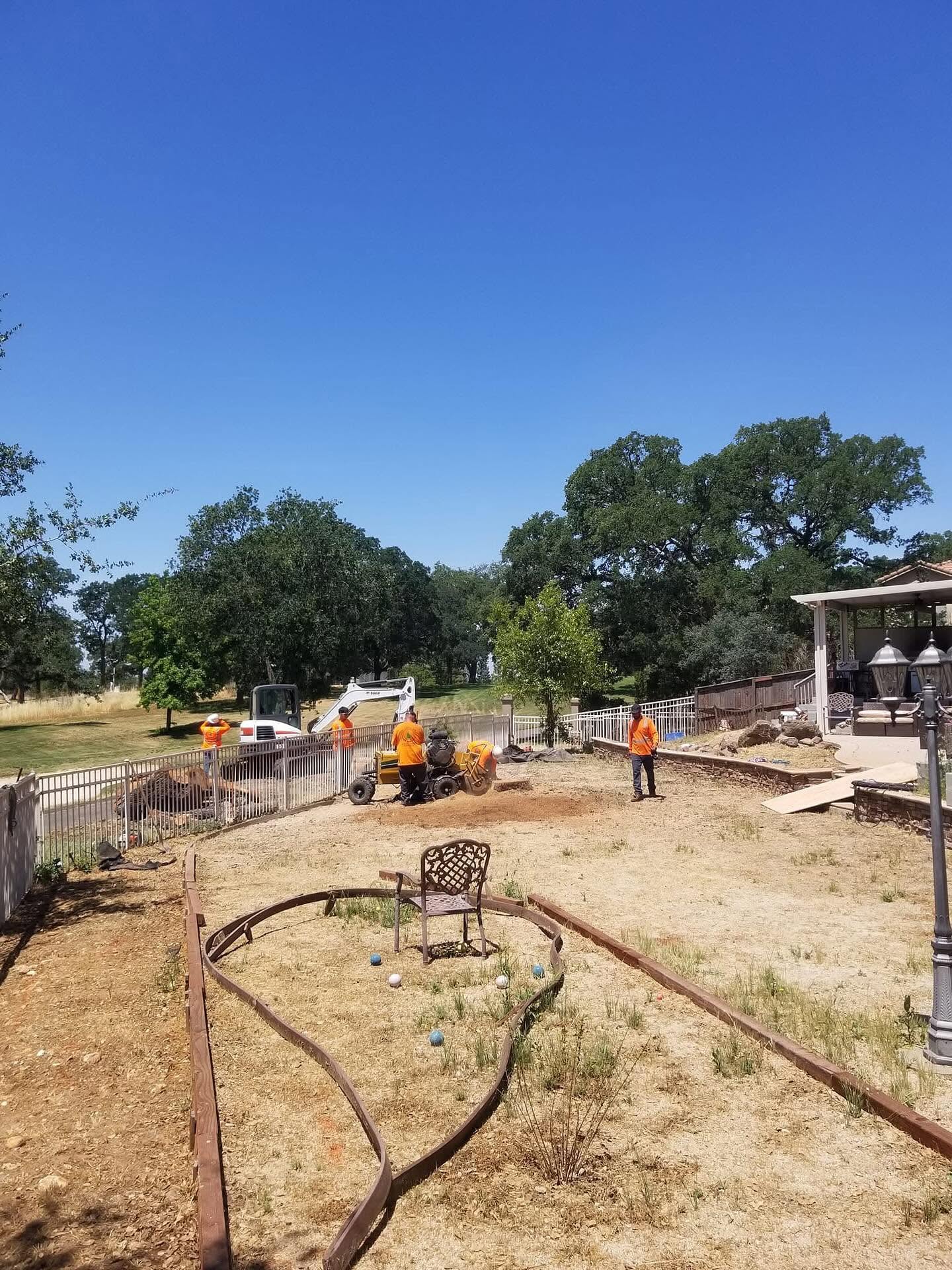 Tree service near me in Valley Springs, CA