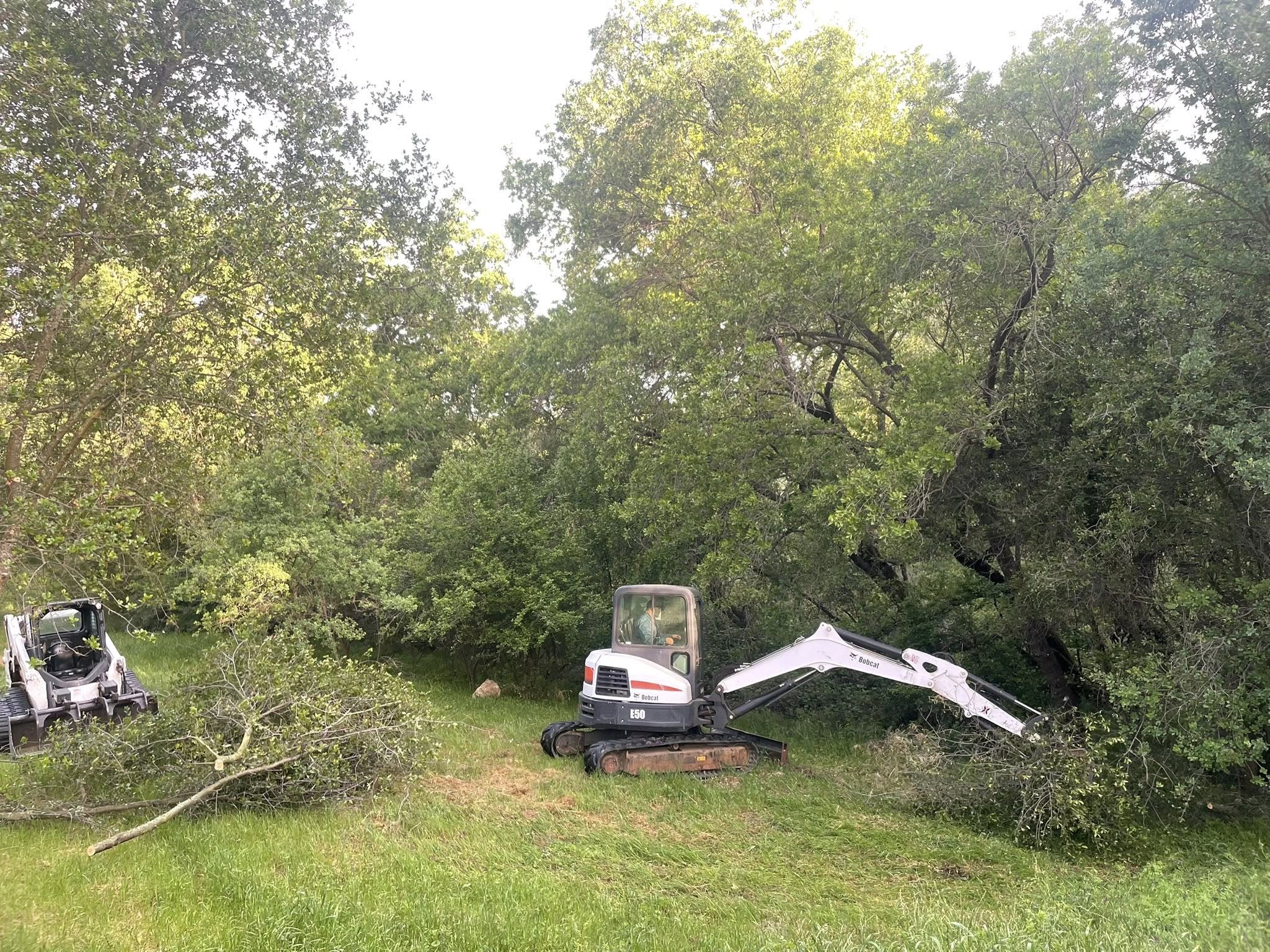 Lone Pine Tree Service crew cutting a large tree in Valley Springs, CA