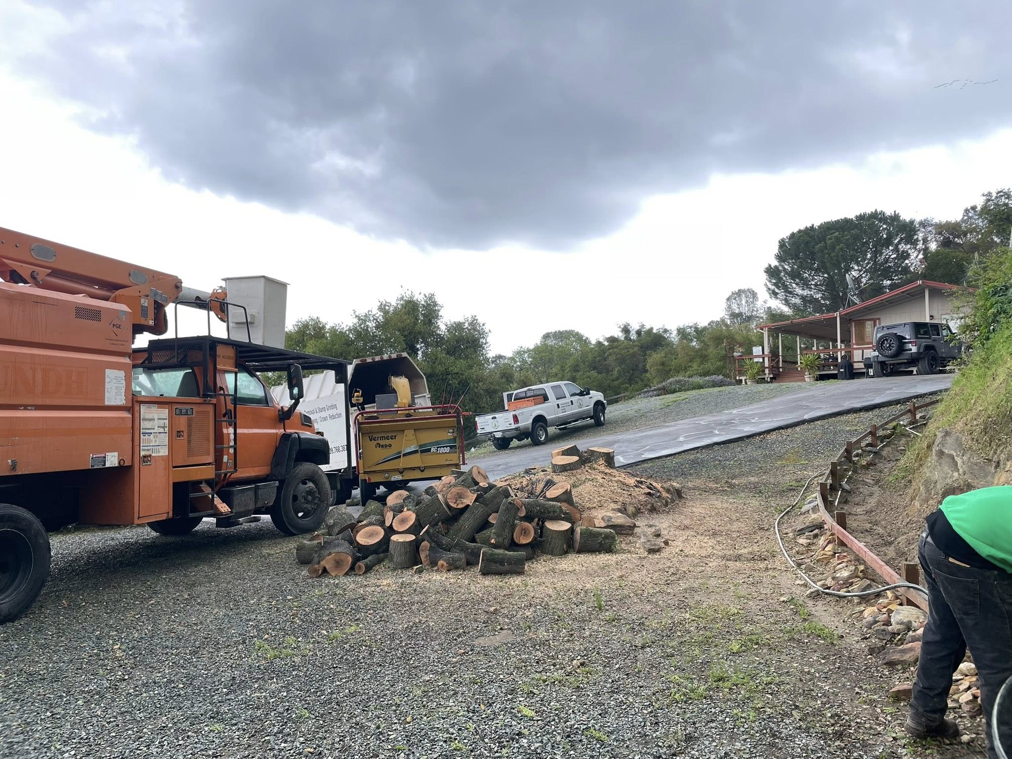Tree removal work in Valley Springs, CA