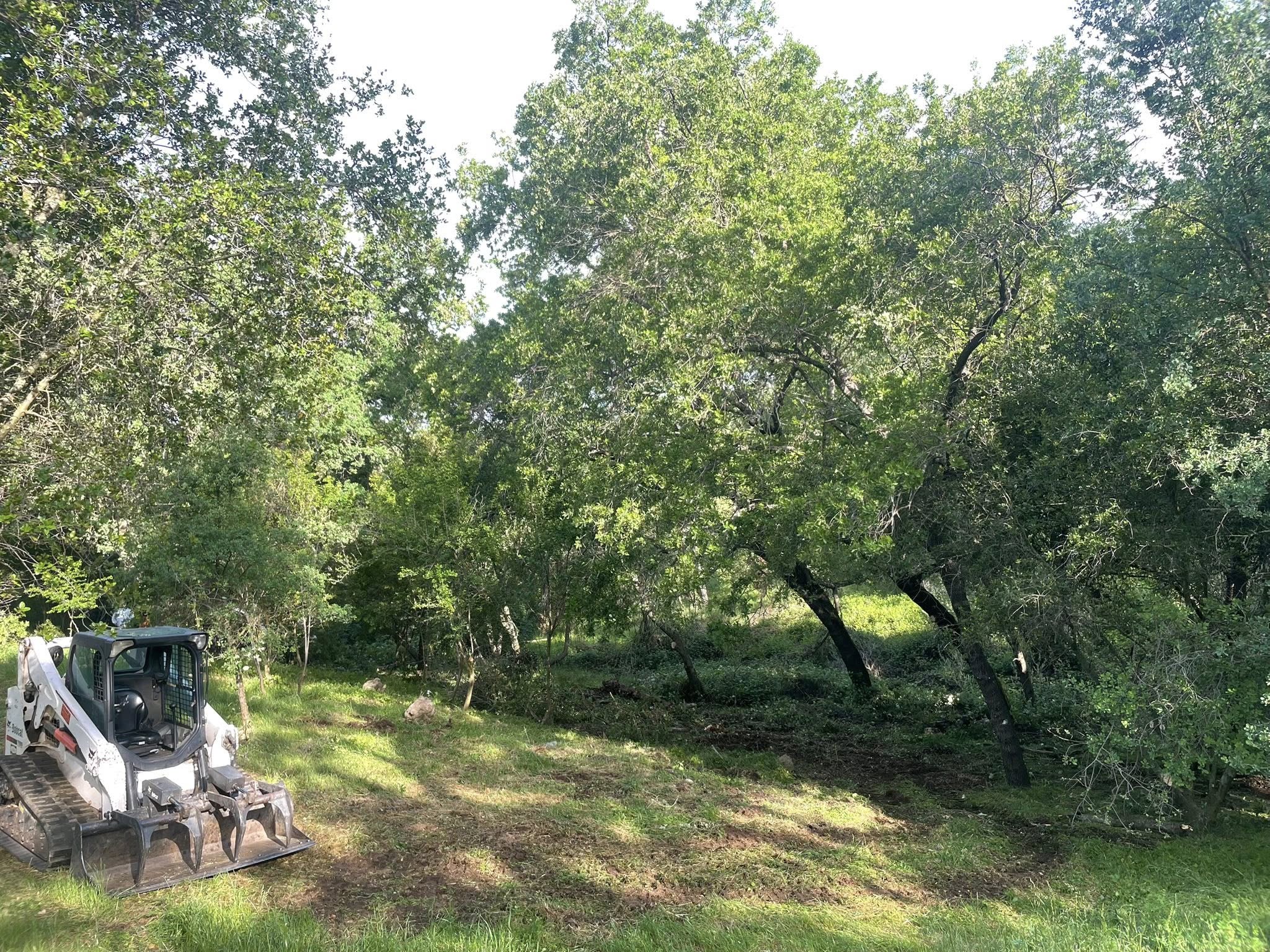 Tree trimming and canopy work